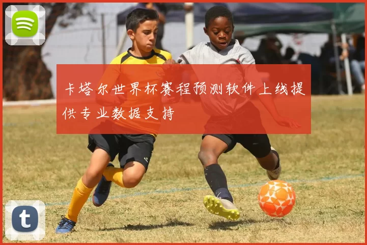 卡塔尔世界杯赛程预测软件上线提供专业数据支持
