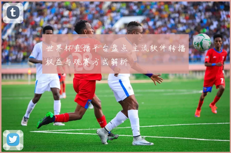 世界杯直播平台盘点 主流软件转播权益与观赛方式解析