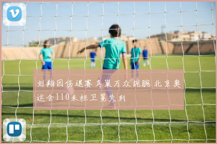 刘翔因伤退赛鸟巢万众扼腕 北京奥运会110米栏卫冕失利