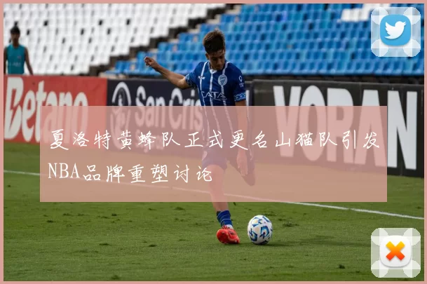 夏洛特黄蜂队正式更名山猫队引发NBA品牌重塑讨论